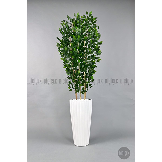 Biçiçek Yapay Bambu Ve Benjamin 6 Dallı Yoğun Yapraklı 220 Cm Beyazbenjami̇n