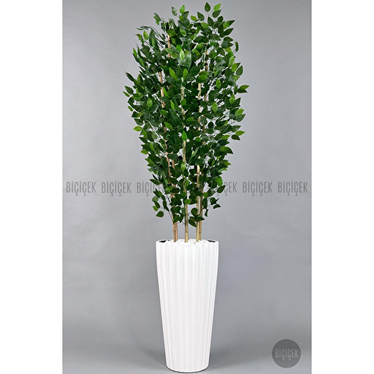 Biçiçek Yapay Bambu Ve Benjamin 6 Dallı Yoğun Yapraklı 220 Cm Beyazbenjami̇n