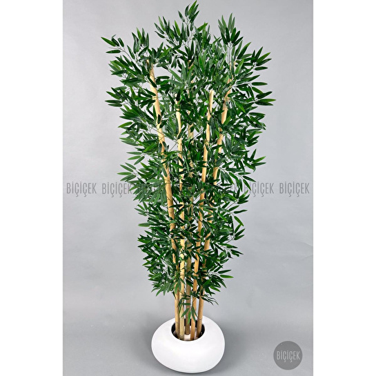 Biçiçek Zen Bambu Ağacı 220-240 Cm Fiber Saksıda Beyazfiber1