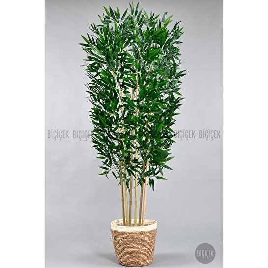 Biçiçek Yapay Bambu Ağacı 170cm Krem Şeritli Hasır Saksıda