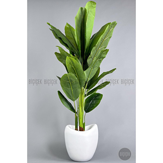 Biçiçek Yapay Muz Ağacı 185-220 Cm Beyaz