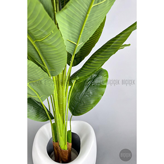 Biçiçek Yapay Muz Ağacı 185-220 Cm Beyaz