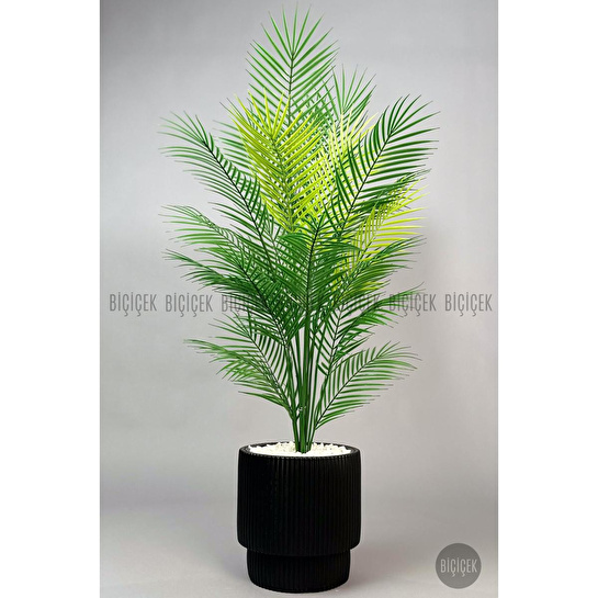 Biçiçek Areka Ağaci 24 Yaprakli 120-130 Cm Siyah
