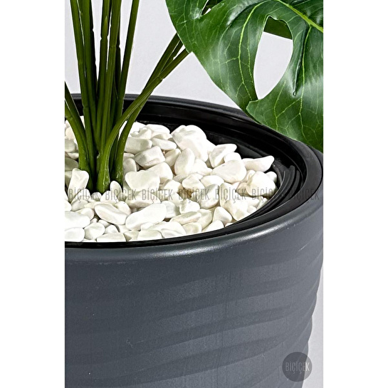 Biçiçek Yapay Çiçek Salon Bitkisi Monstera Deve Tabanı Antrasit Renk Kumsal Saksıda