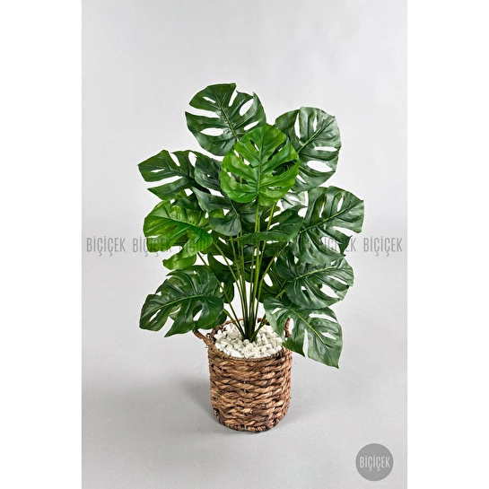Biçiçek Yapay Monstera Deve Tabanı 65-70 Cm Çok Renkli