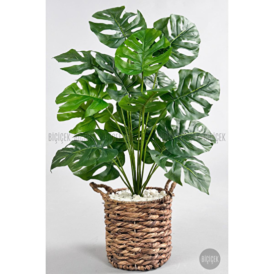 Biçiçek Yapay Monstera Deve Tabanı 65-70 Cm Çok Renkli