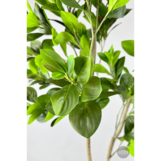 Biçiçek Yapay Manolya Ağacı 150-180cm Krem1