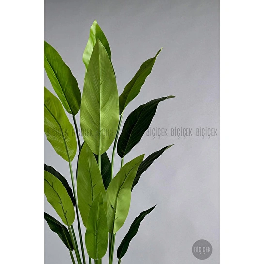 Biçiçek Yapay Starliçe Ağacı 140-170 Cm Beyaz