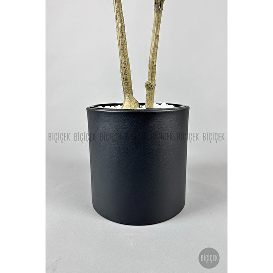 Biçiçek Yapay Manolya Ağacı 150-180cm Siyah