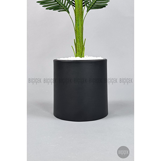 Biçiçek Yapay Areka Ağacı 160-180 Cm Siyahdüz170cm
