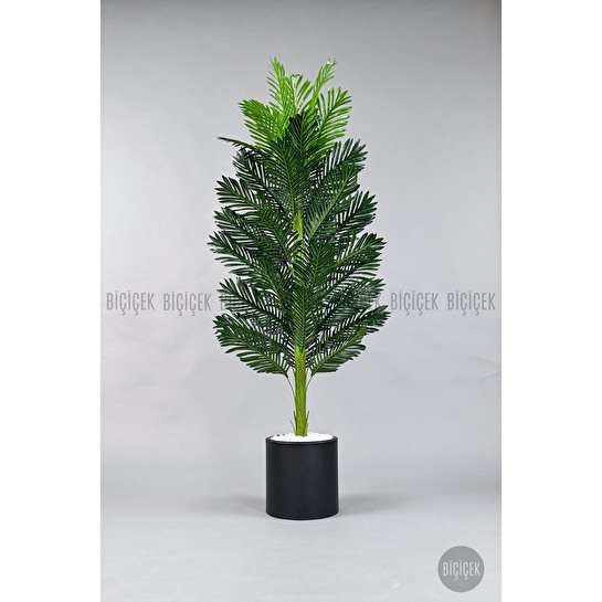 Biçiçek Yapay Areka Ağacı 160-180 Cm Siyahdüz170cm