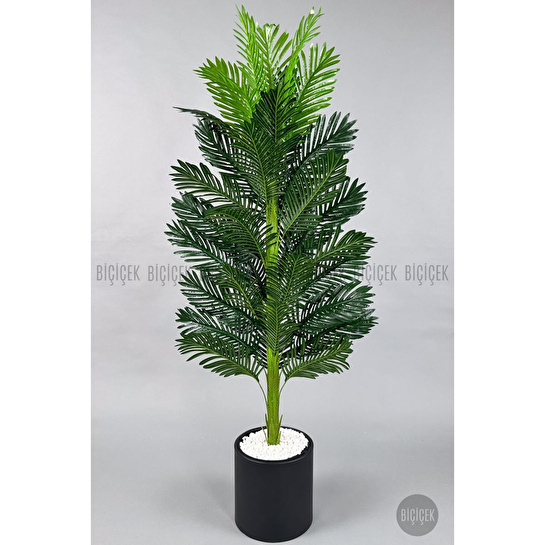 Biçiçek Yapay Areka Ağacı 160-180 Cm Siyahdüz170cm