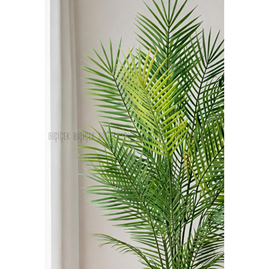 Biçiçek 180 Cm Areka Ağaci 24 Yaprakli Li̇lyum Saksida Beyazlilyum