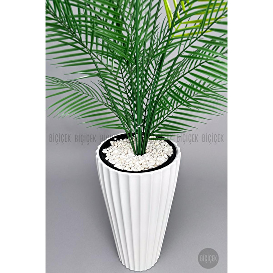 Biçiçek 180 Cm Areka Ağaci 24 Yaprakli Li̇lyum Saksida Beyazlilyum