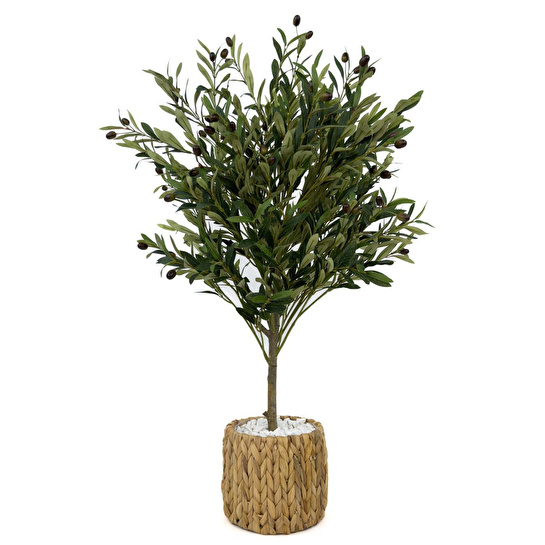 Biçiçek Zeytin Ağacı 100 Cm Hasır Bohem2 Saksıda