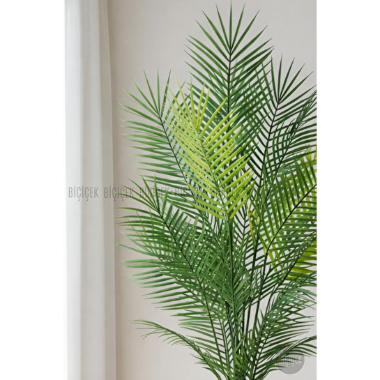 Biçiçek 180 Cm Areka Ağaci 24 Yaprakli Li̇lyum Saksida Antresit