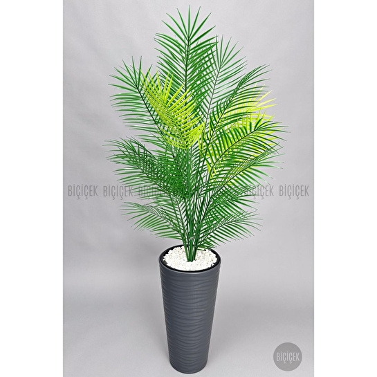 Biçiçek 180 Cm Areka Ağaci 24 Yaprakli Li̇lyum Saksida Antresit