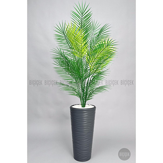 Biçiçek 180 Cm Areka Ağaci 24 Yaprakli Li̇lyum Saksida Antresit