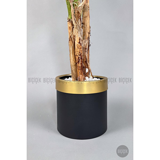 Biçiçek Areka Palmiyesi 220cm Metal Siyah Gold Saksıda