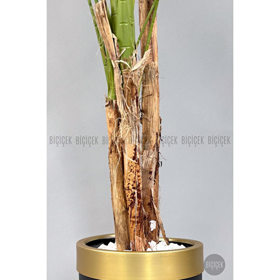 Biçiçek Areka Palmiyesi 220cm Metal Siyah Gold Saksıda