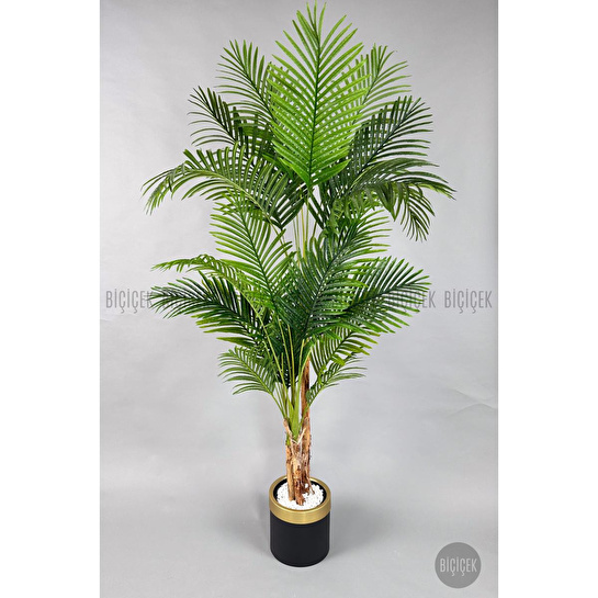 Biçiçek Areka Palmiyesi 220cm Metal Siyah Gold Saksıda