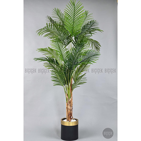 Biçiçek Areka Palmiyesi 220cm Metal Siyah Gold Saksıda