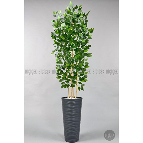 Biçiçek Yapay Benjamin Ağacı 180cm Yoğun Yapraklı Bambu Gövdeli Antrasit Renk Kumsal Saksıda