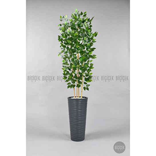 Biçiçek Yapay Benjamin Ağacı 180cm Yoğun Yapraklı Bambu Gövdeli Antrasit Renk Kumsal Saksıda