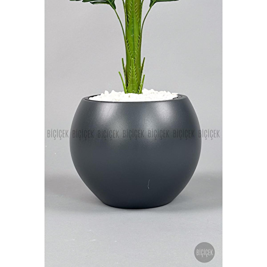 Biçiçek Yapay Areka Ağacı 160-180 Cm Griküre170cm