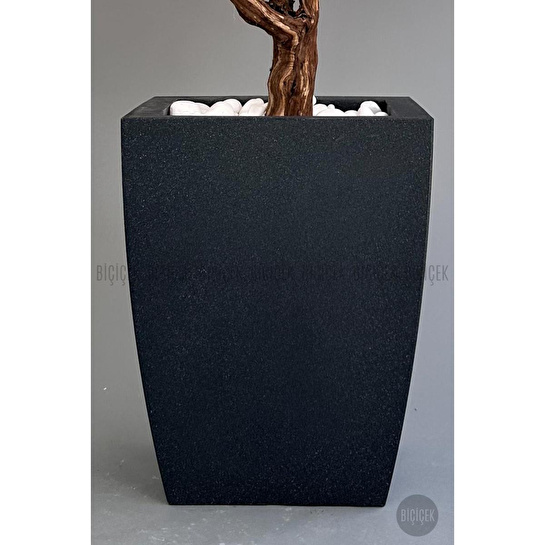 Biçiçek Bonzai Gövdeli Pembe Sakura Ağacı 100cm Dış Mekana Uygun