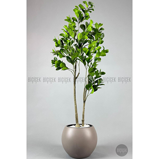 Biçiçek Yapay Manolya Ağacı 150-180cm Kahverengi