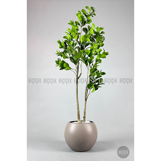 Biçiçek Yapay Manolya Ağacı 150-180cm Kahverengi