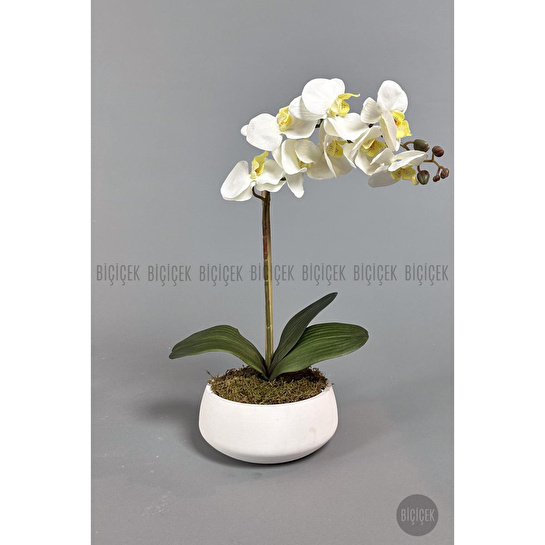 Biçiçek Yapay Çiçek Dekoratif Beton Saksıda Büyük Boy Beyaz Islak Orkide