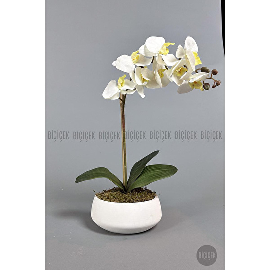 Biçiçek Yapay Çiçek Dekoratif Beton Saksıda Büyük Boy Beyaz Islak Orkide