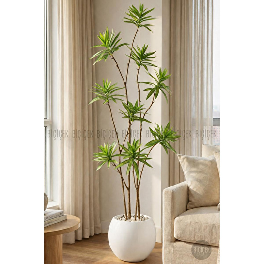 Biçiçek 160 Cm Dragon Bitkisi Yapay Dracaena Küre Saksıda Beyaz