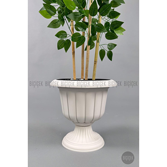 Biçiçek Yapay Benjamin Ağacı 170cm Yoğun Yapraklı Bambu Gövdeli Kırıkbeyaz Renk Nergis Saksıda