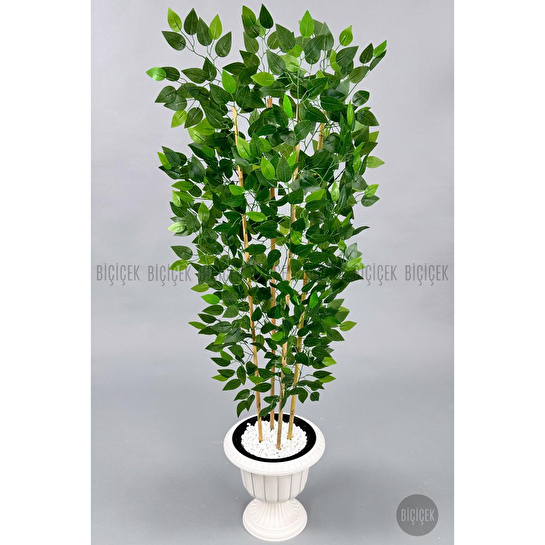 Biçiçek Yapay Benjamin Ağacı 170cm Yoğun Yapraklı Bambu Gövdeli Kırıkbeyaz Renk Nergis Saksıda