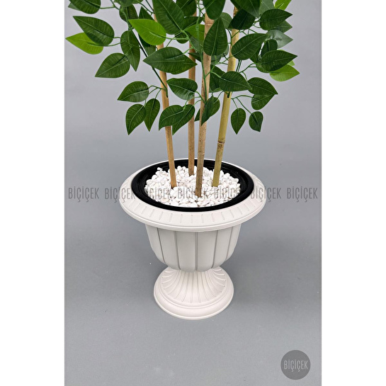 Biçiçek Yapay Benjamin Ağacı 170cm Yoğun Yapraklı Bambu Gövdeli Kırıkbeyaz Renk Nergis Saksıda