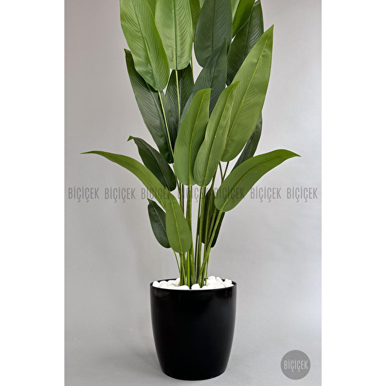Biçiçek Yapay Ağaç Starliçe 220cm Xxl Boy Siyah Renk Büyük Boy Yakut Saksıda