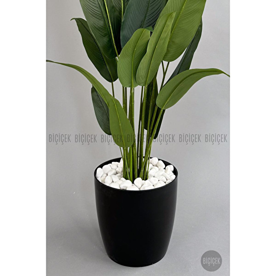 Biçiçek Yapay Ağaç Starliçe 220cm Xxl Boy Siyah Renk Büyük Boy Yakut Saksıda