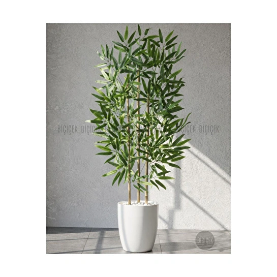Biçiçek 110 Cm Bambu Ağacı Yakut Saksıda Bej