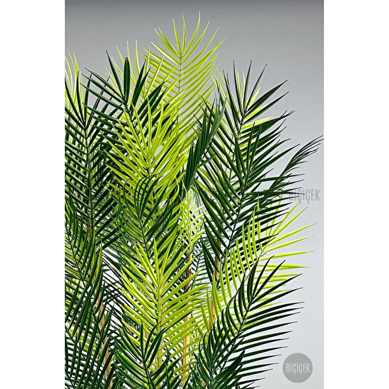 Biçiçek Yapay Areka Palmi̇yesi̇ 6 Gövde Gala Saksida Yoğun Yaprakli 3