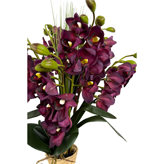 Biçiçek Luxury Mor Singapur Orkide 120 Cm Hasır Bohem Vazoda