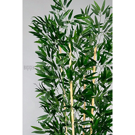 Biçiçek Yapay Bambu Ve Benjamin 4 Dal Yoğun Yapraklı 180 Cm Siyahbambu