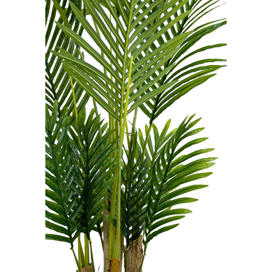 Biçiçek Areka Palmiyesi 160cm Krem Gold Metal Darbuka Saksıda