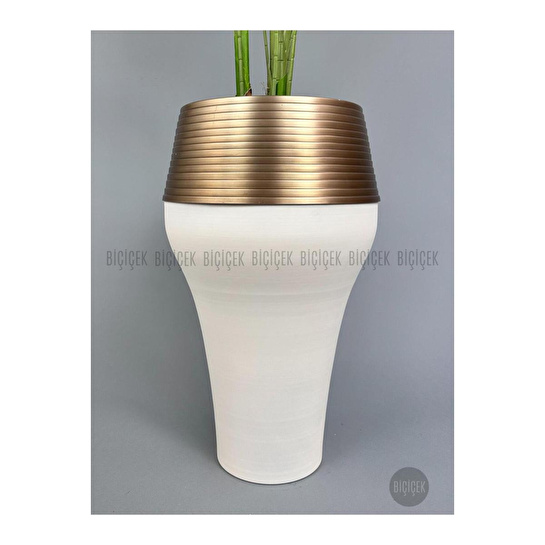 Biçiçek 220cm Starliçe Bitkisi Cleopatra Saksıda Krem Gold