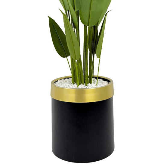 Biçiçek Starliçe 220cm Metal Siyah Gold Saksıda