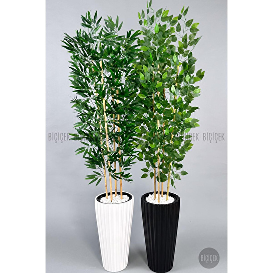 Biçiçek Yapay Bambu Ve Benjamin 4 Dal Yoğun Yapraklı 180 Cm Bambuvebenjamin