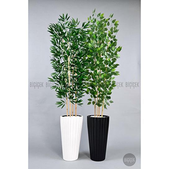 Biçiçek Yapay Bambu Ve Benjamin 4 Dal Yoğun Yapraklı 180 Cm Bambuvebenjamin