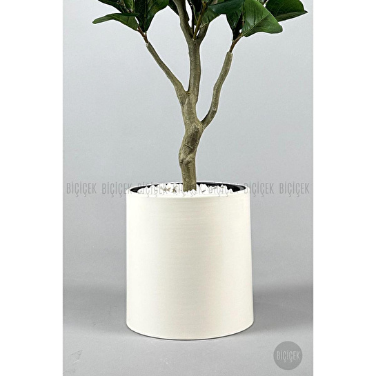 Biçiçek Keman Yapraklı Kauçuk Bitkisi Fiddle Lyrata Metal Saksı Beyaz-150cm